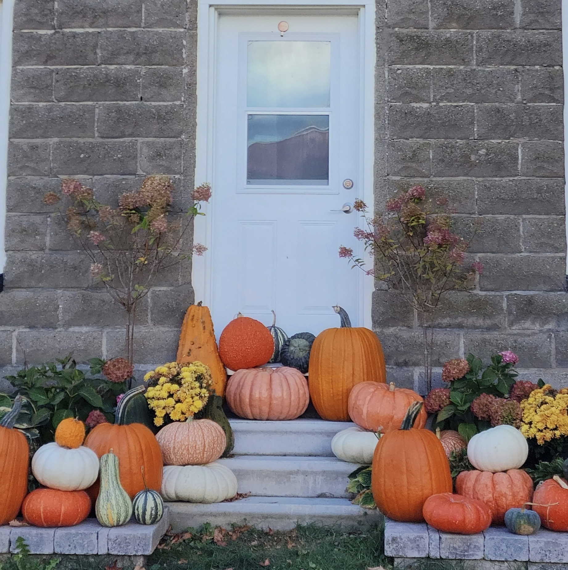 Family Picking Pumpkins