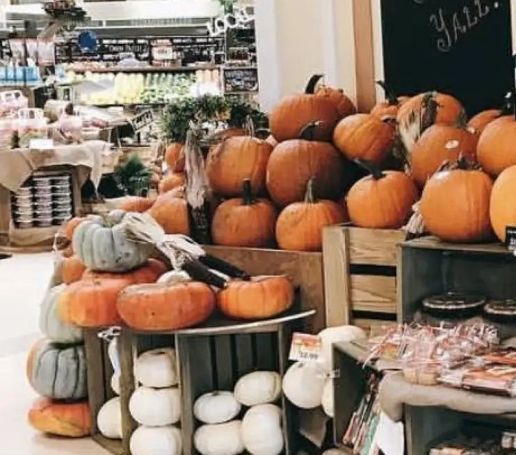 Pumpkin Patch